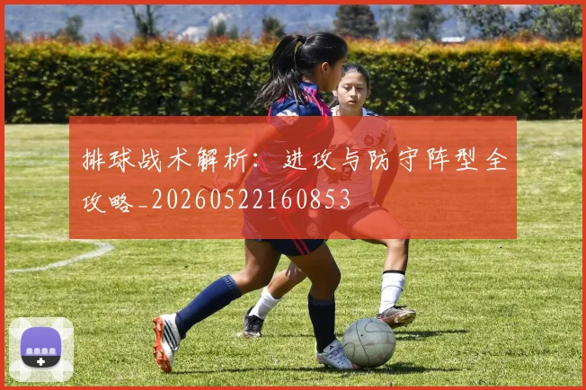 排球战术解析：进攻与防守阵型全攻略_20260522160853